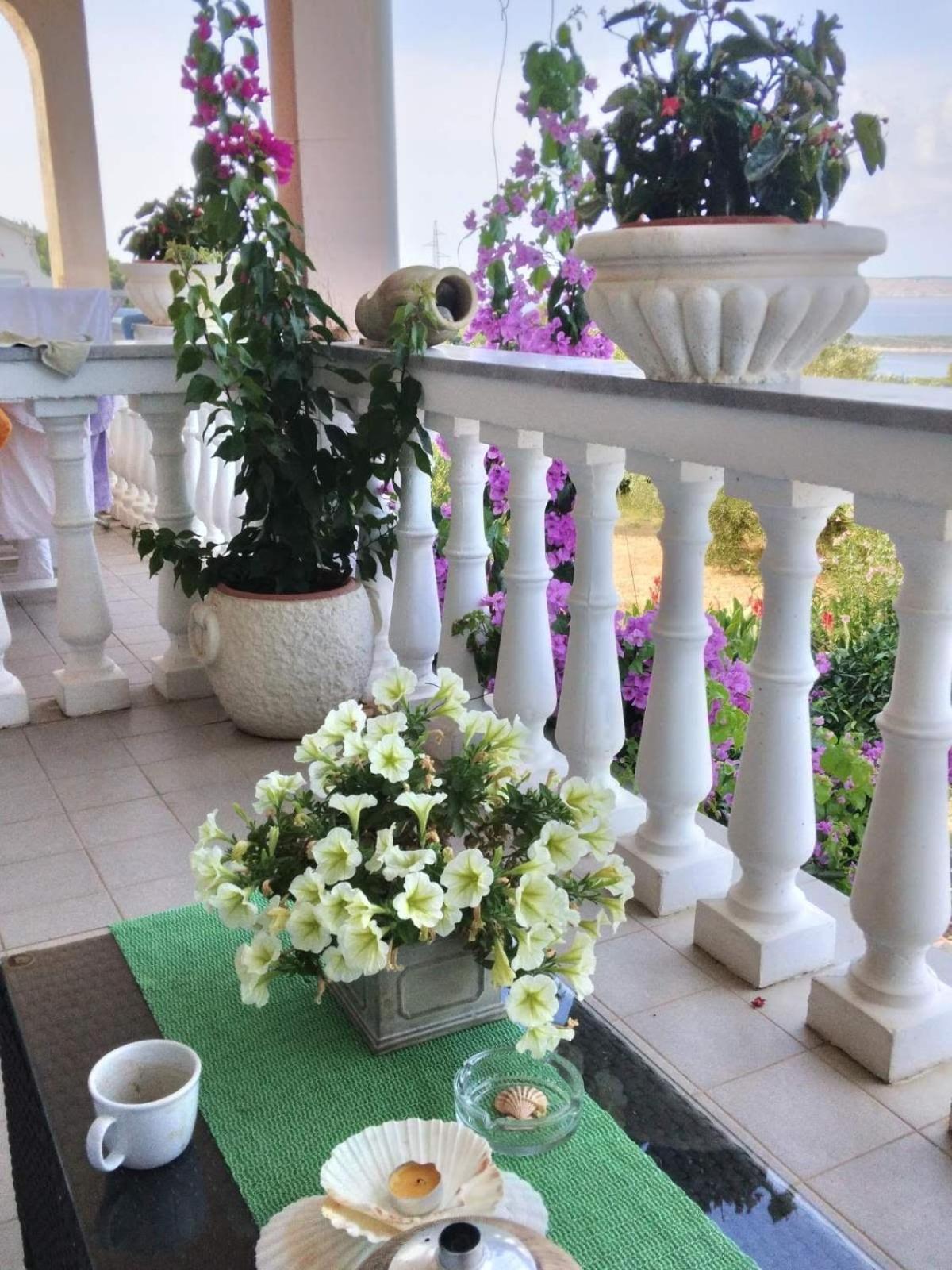 Apartments Panorama View Zeljko Scerbe Mundanije Ngoại thất bức ảnh